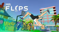 Mr Flip