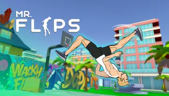 Mr Flip